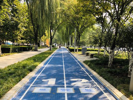 家門口的智能步道——南京花神湖智能體育公園正式開園啦！